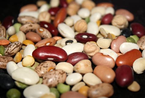 Lesser Magic Beans: A New Frontier for Culinary Innovation
